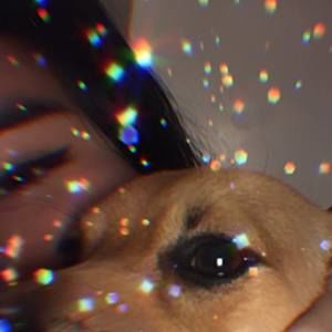 Meet your Posher, Darlinne